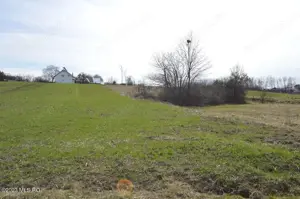 Suseni - Teren intravilan rezidential, suprafata 4000 mp - imagine 2