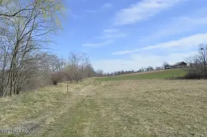 Suseni - Teren intravilan rezidential, suprafata 4000 mp - imagine 7