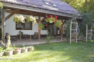 Topoloveni - Conacul Ion Mihalache, Domeniu pe 5 Hectare - imagine 9 Topoloveni - Conacul Ion Mihalache, Domeniu pe 5 Hectare - imagine 9