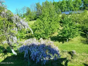 Topoloveni - Conacul Ion Mihalache, Domeniu pe 5 Hectare - imagine 17 Topoloveni - Conacul Ion Mihalache, Domeniu pe 5 Hectare - imagine 17