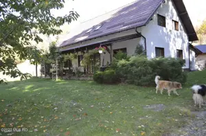 Topoloveni - Conacul Ion Mihalache, Domeniu pe 5 Hectare - imagine 6 Topoloveni - Conacul Ion Mihalache, Domeniu pe 5 Hectare - imagine 6