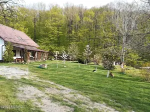 Topoloveni - Conacul Ion Mihalache, Domeniu pe 5 Hectare - imagine 8 Topoloveni - Conacul Ion Mihalache, Domeniu pe 5 Hectare - imagine 8