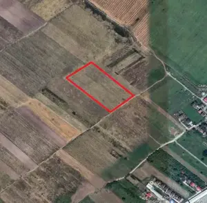 Oferta de inchiriere 5.000 mp teren intravilan la nod Afumati  - imagine 3