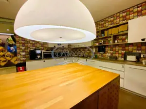 Spatiu comercial sau pentru birouri - imagine 14