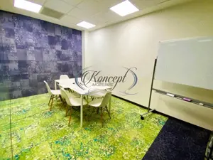 Spatiu comercial sau pentru birouri - imagine 18