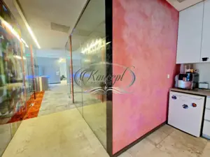 Spatiu comercial sau pentru birouri - imagine 12