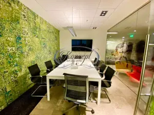 Spatiu comercial sau pentru birouri - imagine 17