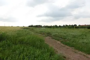 Proprietar,VandTeren10100mpDesc43mlUtilitati150ml*INVESTITIE PROIECT CASE*Imediat IntravilanPRIMARIE - imagine 5