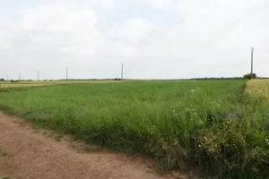 Proprietar,VandTeren10100mpDesc43mlUtilitati150ml*INVESTITIE PROIECT CASE*Imediat IntravilanPRIMARIE - imagine 9