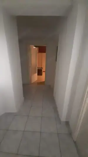 Apartament cu 2 camere de vanzare in zona Tineretului - imagine 3