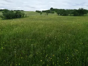 Vand 4777 mp teren in Posesti, judetul Prahova - imagine 8