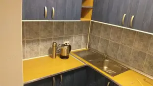 Închiriez apartament Vasile Aaron 2 camere  - imagine 4