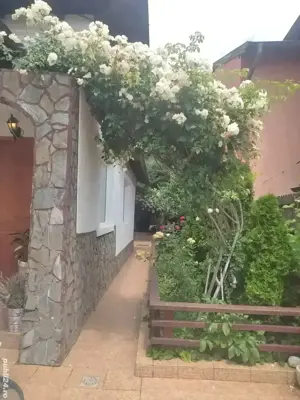 Ploiesti    Casa de vanzare locuibila  - imagine 5