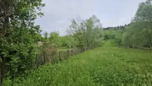 TEREN VANZARE VALEA DOFTANEI - imagine 2