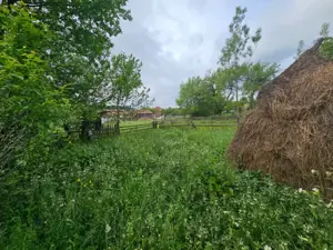 TEREN VANZARE VALEA DOFTANEI - imagine 6