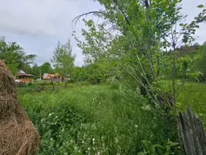 TEREN VANZARE VALEA DOFTANEI - imagine 4