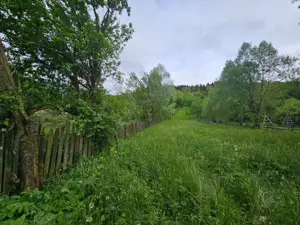 TEREN VANZARE VALEA DOFTANEI - imagine 5