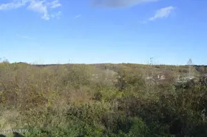 Babana - Centru - Primarie, Teren intravilan 13742 mp - imagine 9