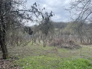 Vând casă ! - imagine 8