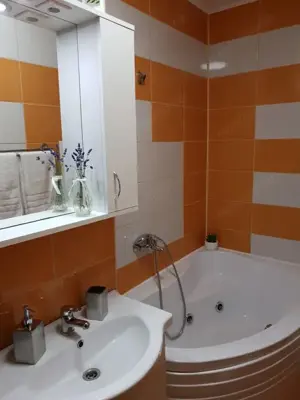 2 camere de inchiriat zona Alba Iulia - imagine 4 2 camere de inchiriat zona Alba Iulia - imagine 4