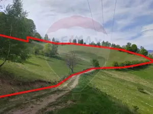 Teren 20,131 mp/Extravilan/Poiana Mărului - imagine 3