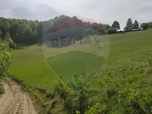 Teren 20,131 mp/Extravilan/Poiana Mărului - imagine 2