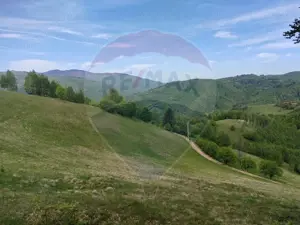 Teren 20,131 mp/Extravilan/Poiana Mărului - imagine 4