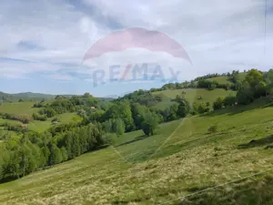 Teren 20,131 mp/Extravilan/Poiana Mărului - imagine 8