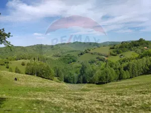 Teren 20,131 mp/Extravilan/Poiana Mărului - imagine 6