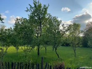 Teren vanzare Brebu - imagine 3