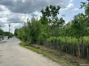 Teren vanzare Brebu - imagine 5