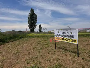 Teren intravilan | 4.900 mp | Depozit Profi | Acces drum betonat - imagine 7