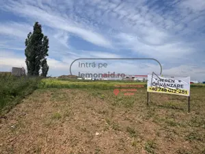 Teren intravilan | 4.900 mp | Depozit Profi | Acces drum betonat - imagine 2