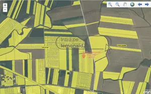 Oportunitate investiție - Teren 2HA - Săcălaz - Centură Vest - Comision 0 - imagine 3