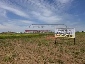Teren intravilan | 4.900 mp | Depozit Profi | Acces drum betonat - imagine 6