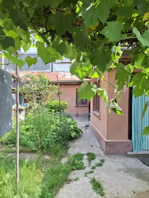 Casa curte paianta   - imagine 3