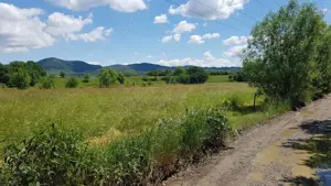 Suprafata disponibila 4000 mp