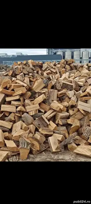 Vînd Lemne și deșeuri pentru foc 