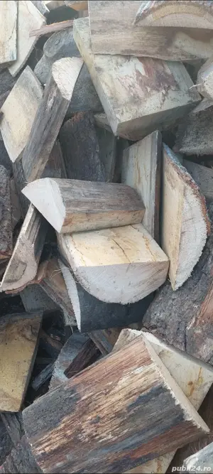 Vînd Lemne și deșeuri pentru foc  - imagine 2