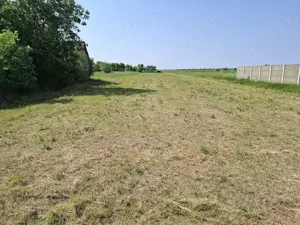 Teren intravilan de vânzare   2.880 la 25 min de Timișoara