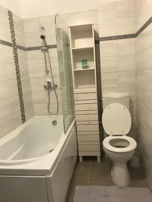 Apartament 2 camere in zona 1 Mai - imagine 3