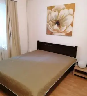 Apartament 2 camere Calea Mosilor - imagine 2