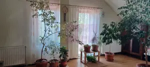 Joița, vilă 5 camere 187 mp utili + garaj, terasă, pivniță, curte 578 - imagine 11