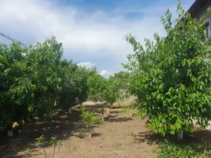 Vila de vanzare Str. Duzilor, mun. Tecuci, jud. Galaţi. - imagine 5