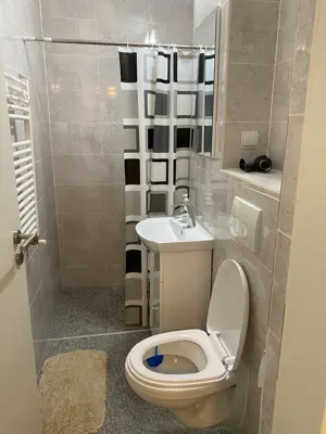 Ofer spre inchiriere garsoniera in zona Obor  - imagine 3