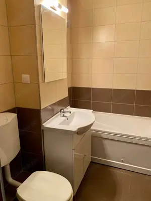 Zona Unirii un apartament cu 3 camere de inchiriat - imagine 4