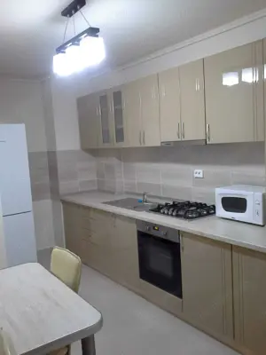 Apartament cu 2 camere de inchiriat Drumul Sarii - imagine 4