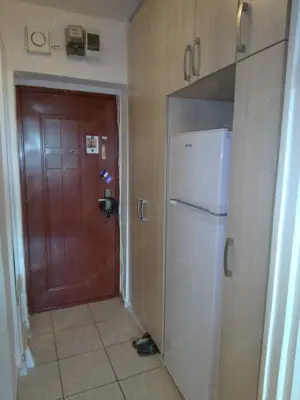 garsoniera semidecomandata iancului avrig stefanescu nr 9 - imagine 11