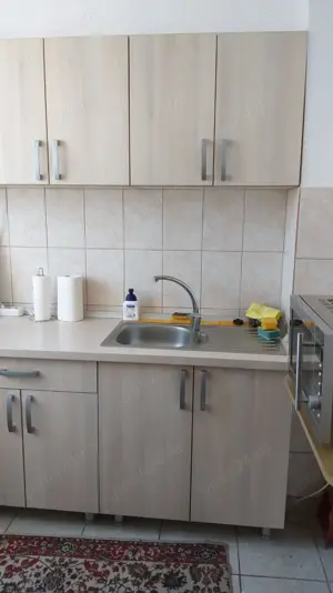 garsoniera semidecomandata iancului avrig stefanescu nr 9 - imagine 9