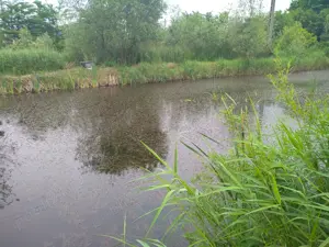 Teren  agricol și  de agrement cu iaz cu pește  intravilan  Dorohoi 